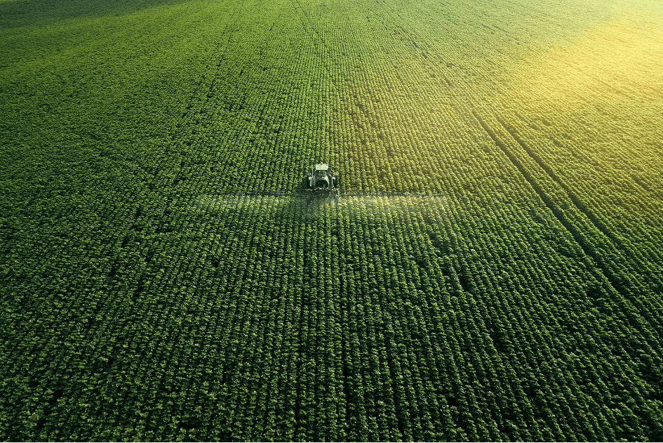 Sustainability